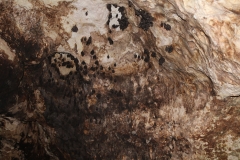 4B9A2747