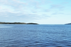 4B9A1135-2