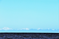 4B9A1154-4
