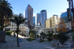 DSC01598