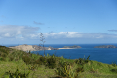 DSC01640