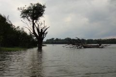 DSC06990