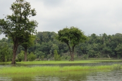 DSC07000