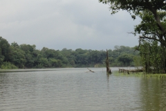 DSC07001
