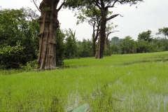 DSC07008