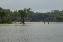 DSC07027