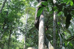 4B9A2587