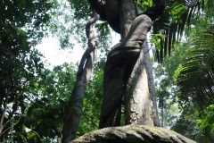 4B9A2589