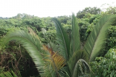 4B9A2725
